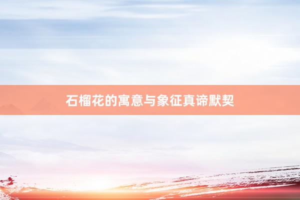 石榴花的寓意与象征真谛默契