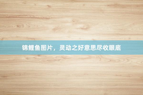 锦鲤鱼图片，灵动之好意思尽收眼底